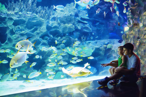 Downtown Aquarium Houston